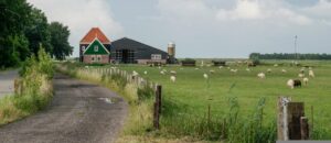 Een mediator helpt Boerderij header