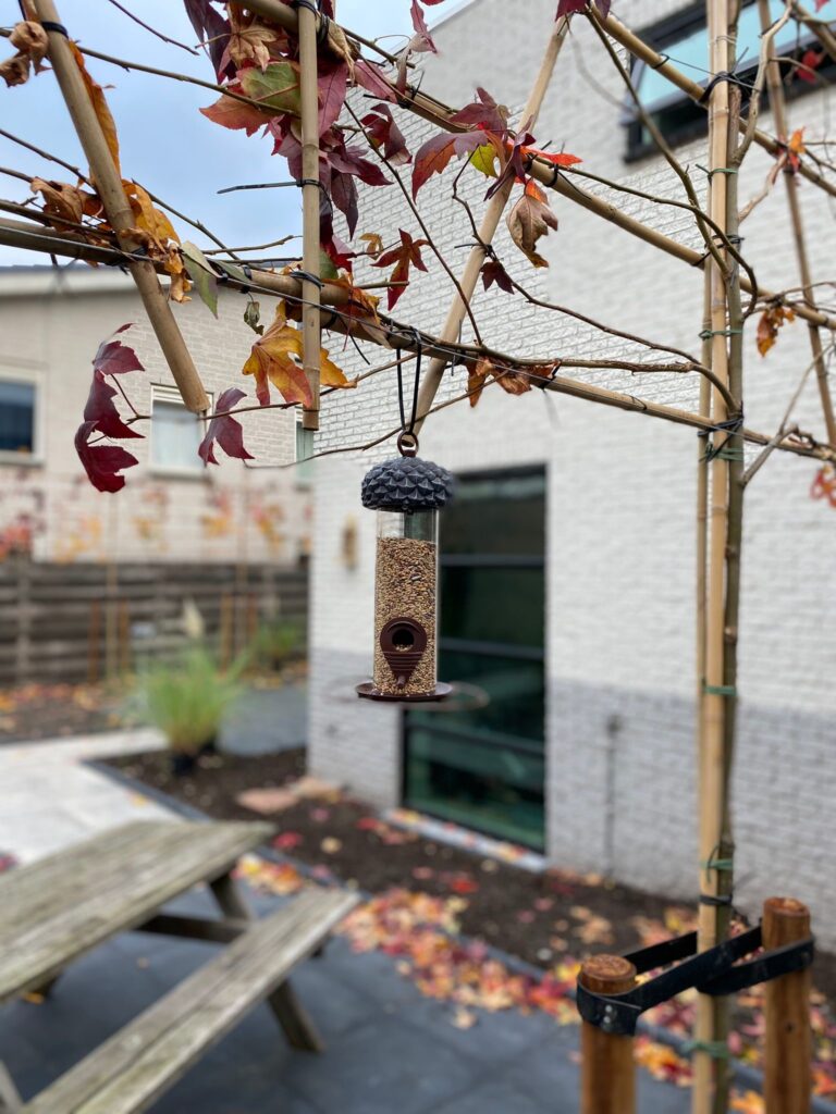 vogelhuisje gido